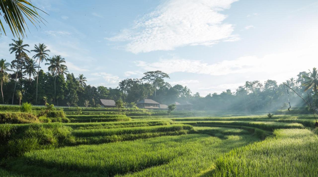 Benisari Batik Garden Cottage อูบุด ภายนอก รูปภาพ