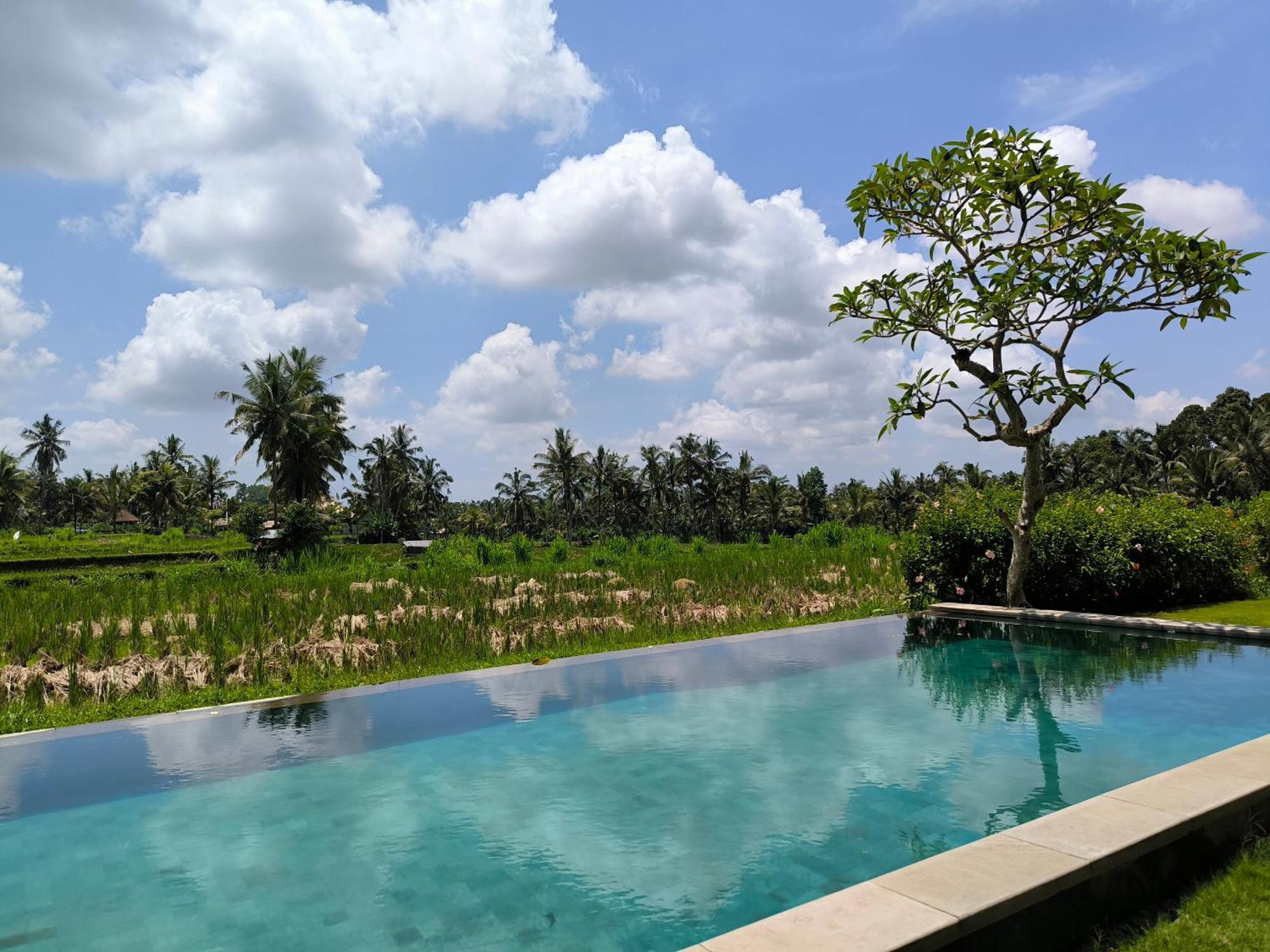 Benisari Batik Garden Cottage อูบุด ห้อง รูปภาพ